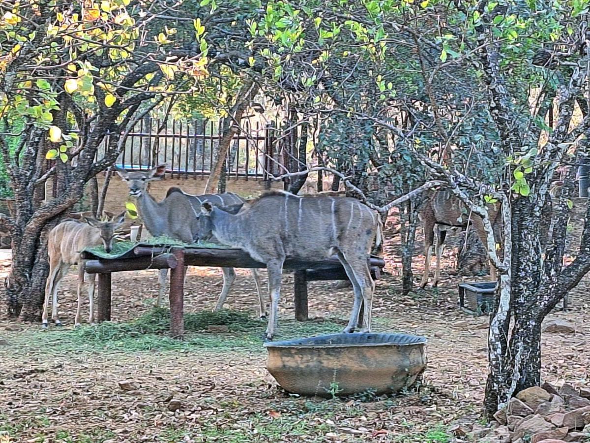 Loskop Serene Bush Cabin Winterkamp Εξωτερικό φωτογραφία