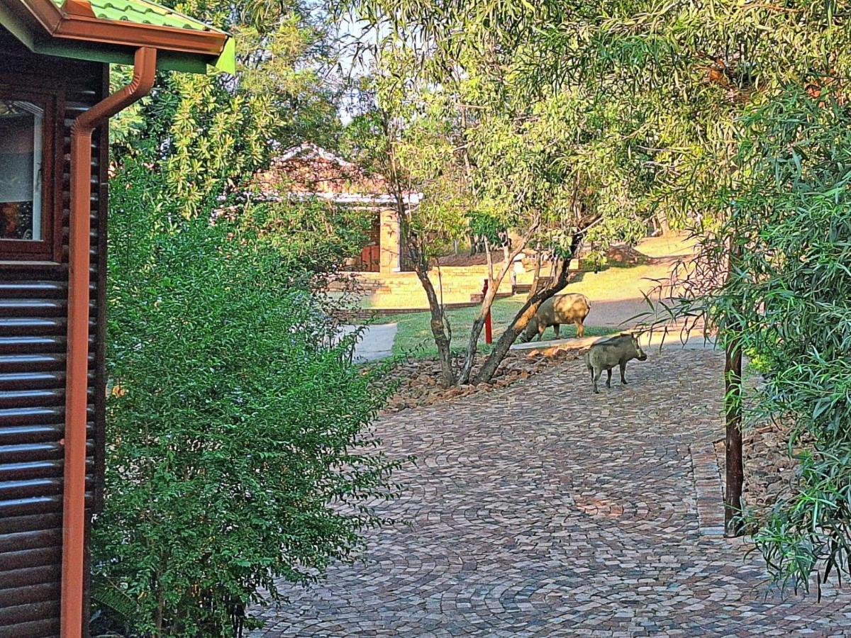 Loskop Serene Bush Cabin Winterkamp Εξωτερικό φωτογραφία